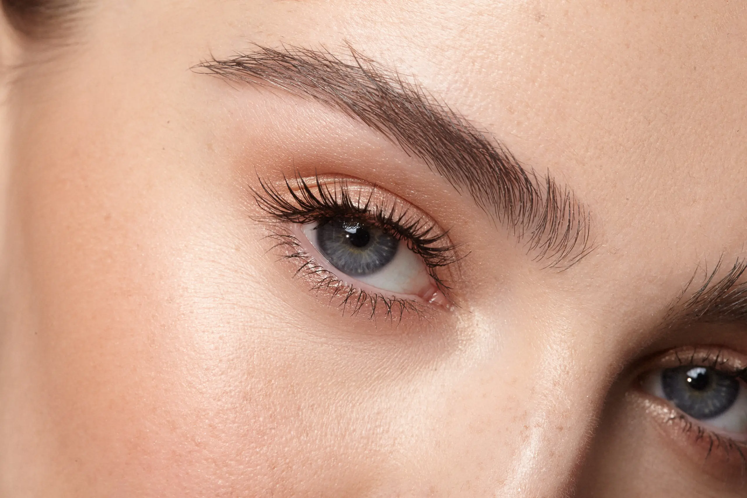 Eyebrows